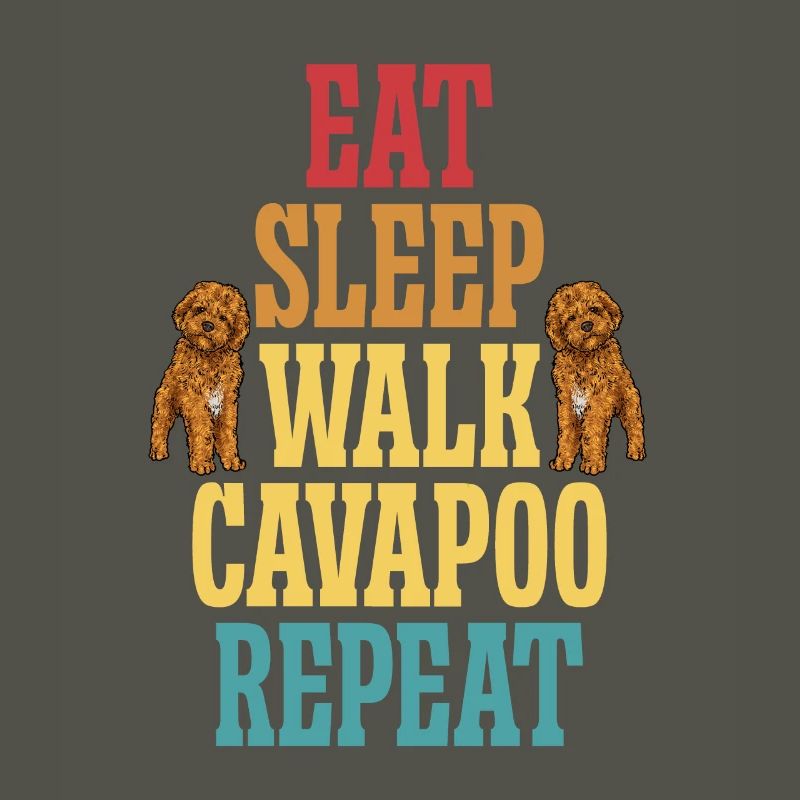 Cavapoo Cavoodle Capoodle Hund