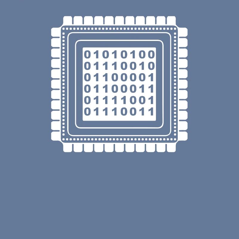 Developer Coder Programmer Microchip