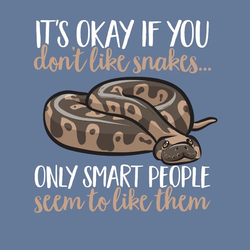 Ball Python Schlange Königspython