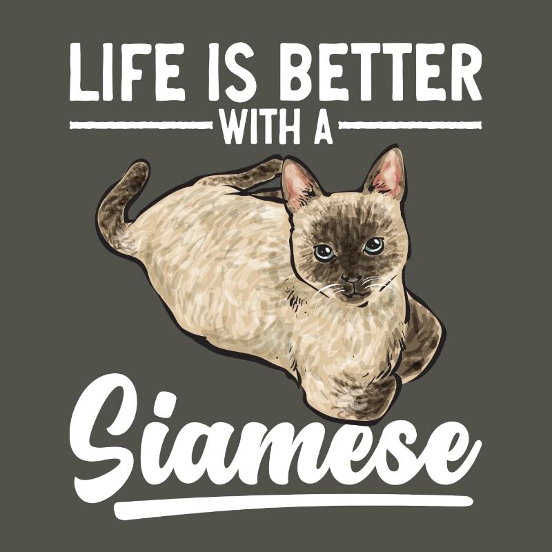 Siamkatze Katze Siamese