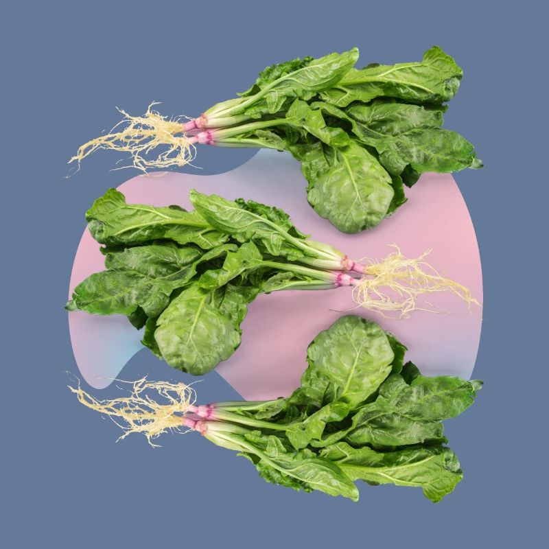 Spinach, fresh spinach spinach leaf spinach