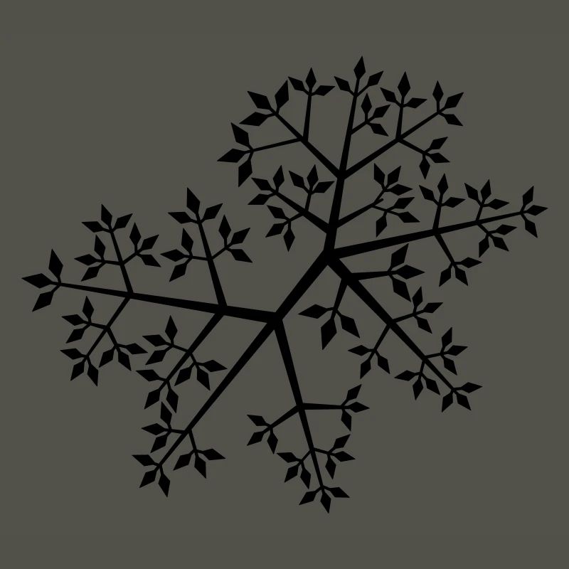 Nature branches branches feuilles