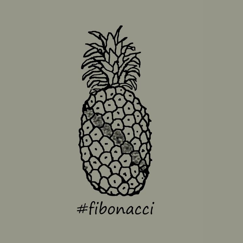 Fibonacci pineapple