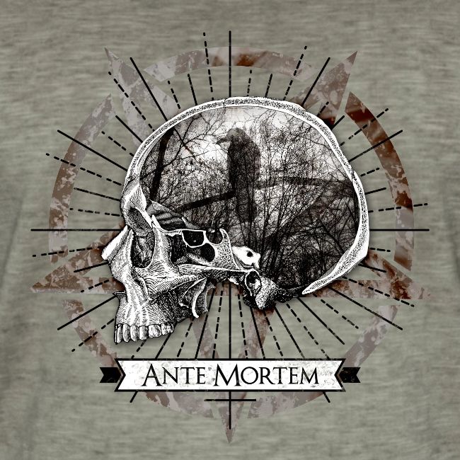 Ante Mortem Raven Skull