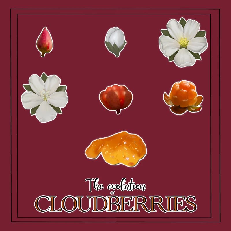 Die Evolution der Moltebeeren, mit Rahmen