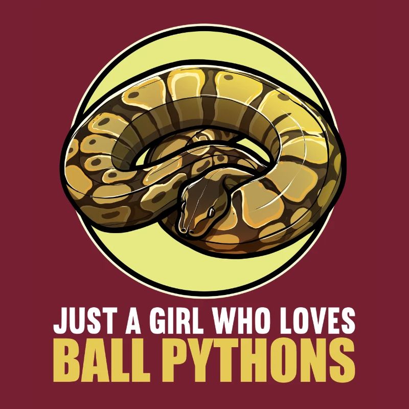 Ball Python Roi Python Roi Python