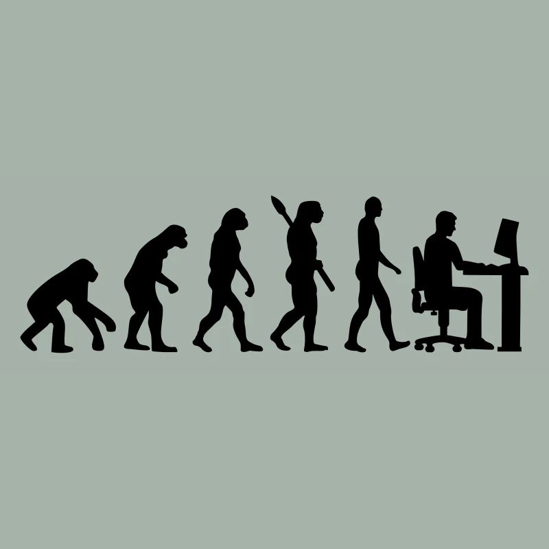 Programmer
