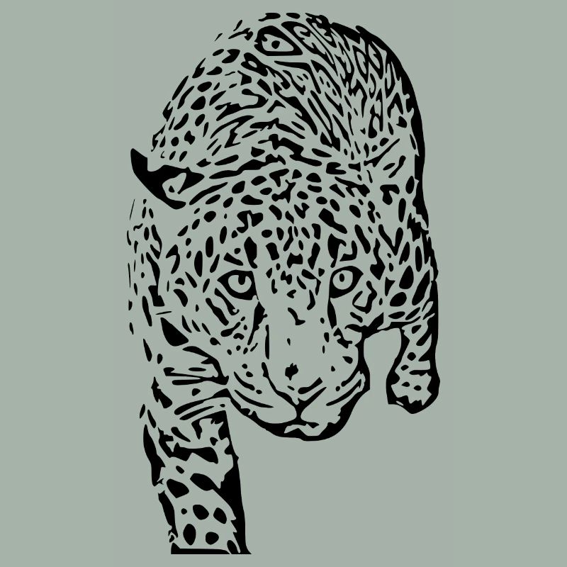 leopard schwarz schwarzer Leopard
