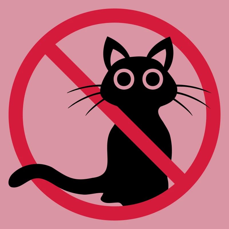 Chat noir interdit