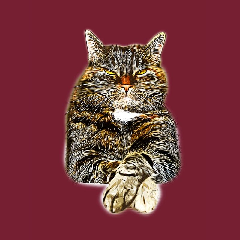 chat chat gxp comme un art de vecteur de patron