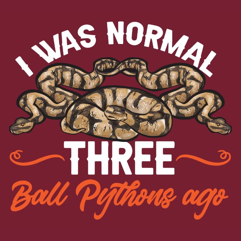 Ball Python Schlange Königspython