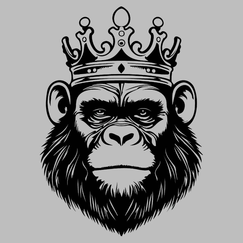 Monkey Monkey Monkey Face Jungle