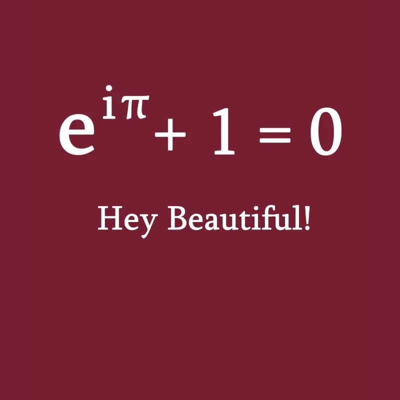 Euler identité math mathématicien nerd science pi