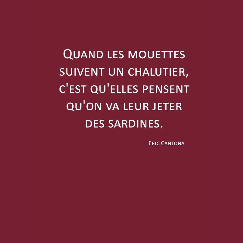 Mouettes - Eric Cantona