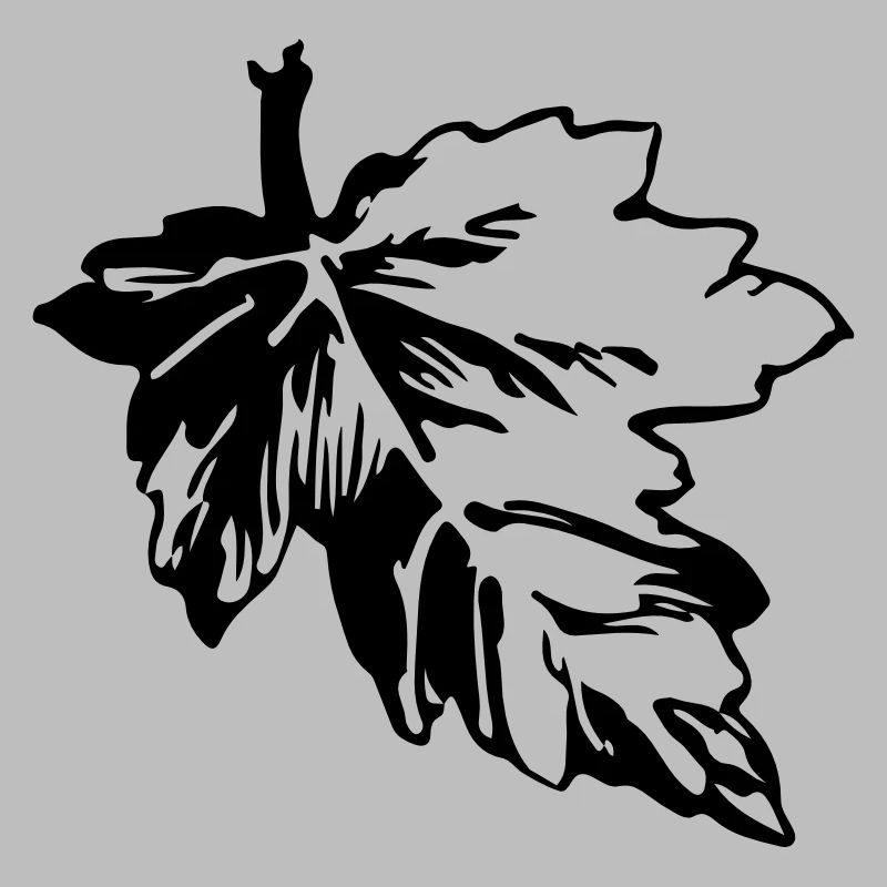 Feuille