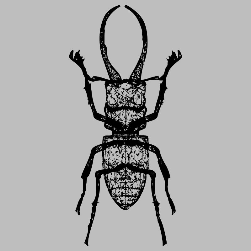Stag beetle - stag beetle