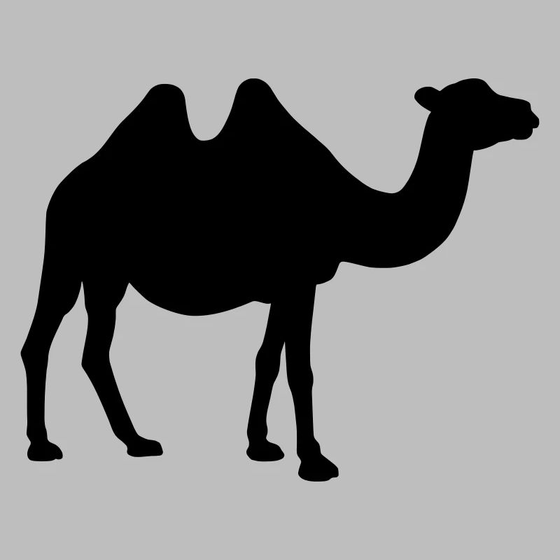 Kamel Silhouette