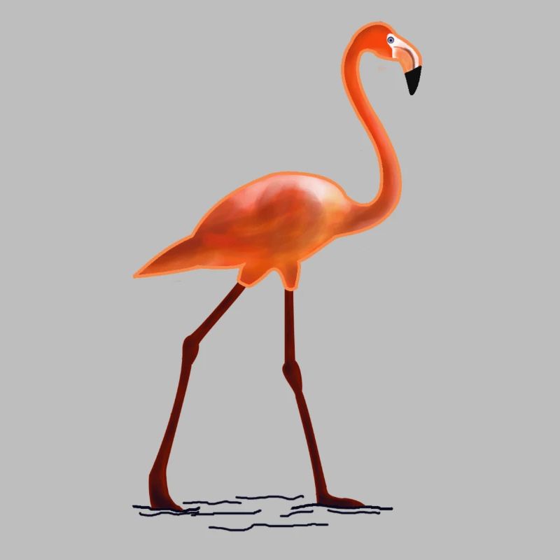 Flamingo