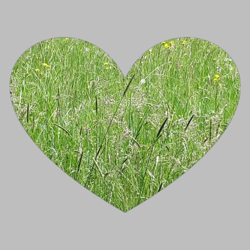 Grass heart