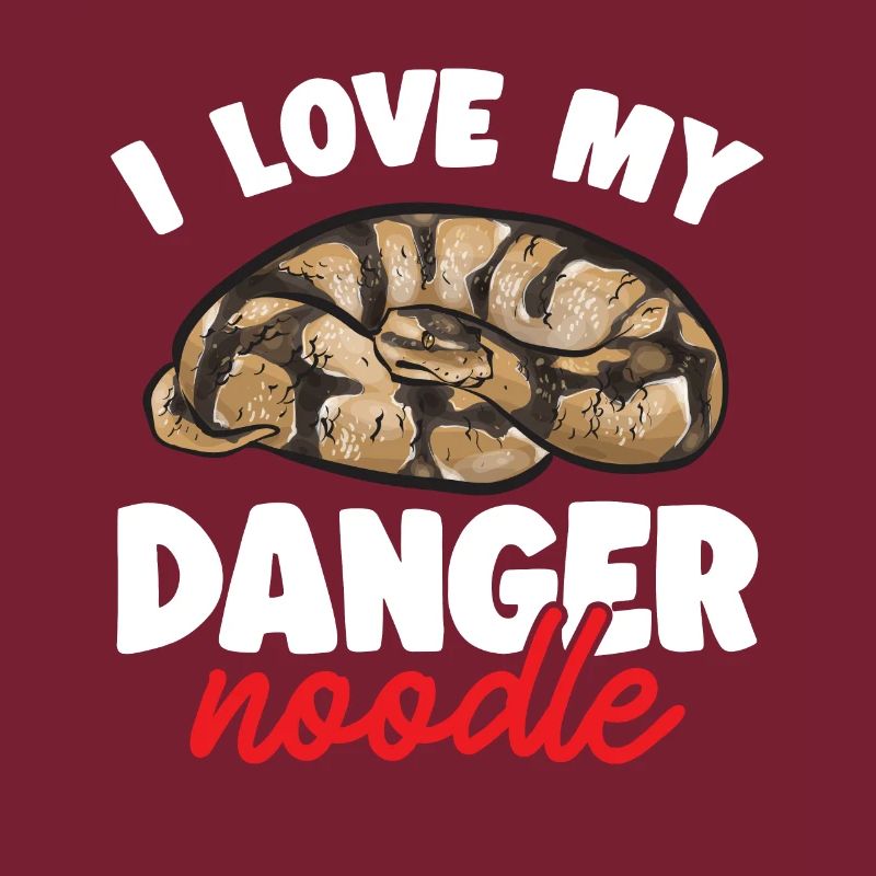 Ball Python Schlange Königspython
