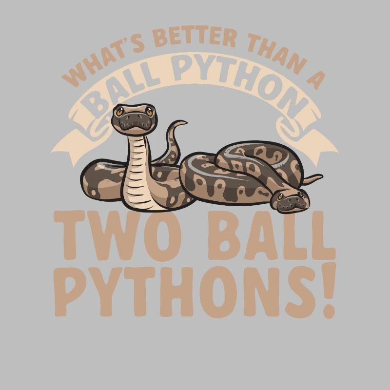 Ball Python Snake King Python