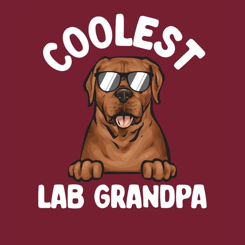 Fuchsroter Labrador Retriever Fox Red Labrador