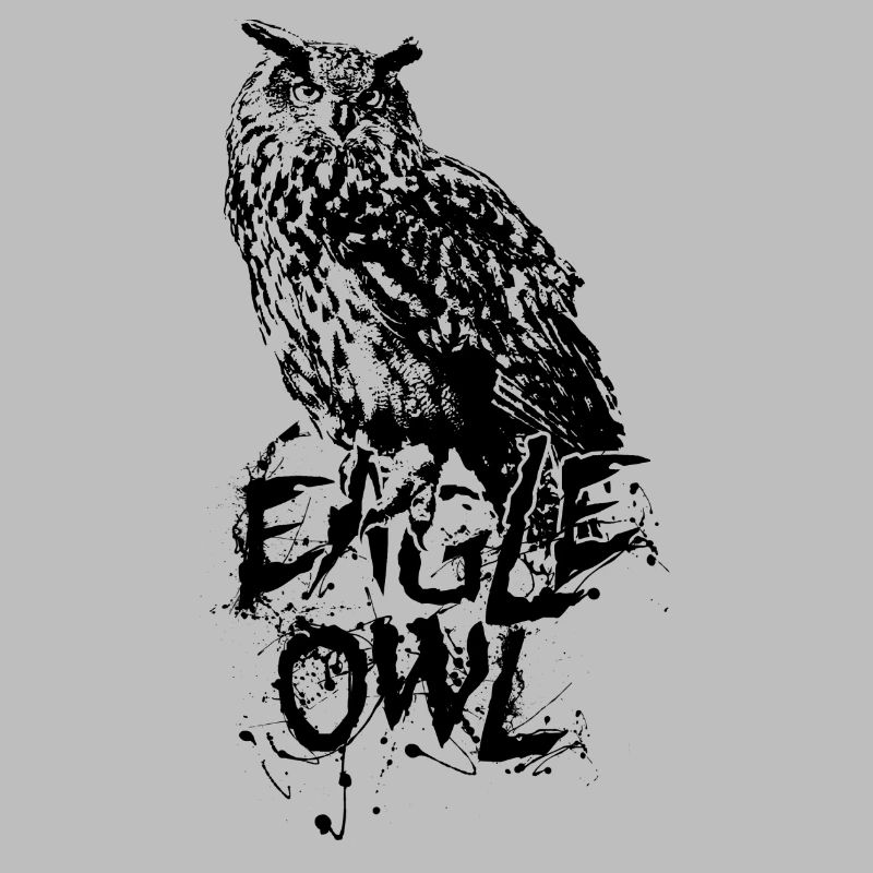 Eagle Owl Uhu Eule Bubo Bubo