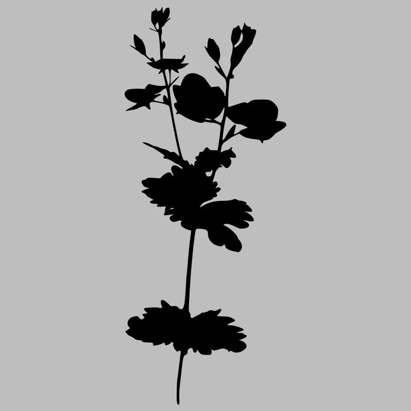 Prix d’honneur plante à fleurs