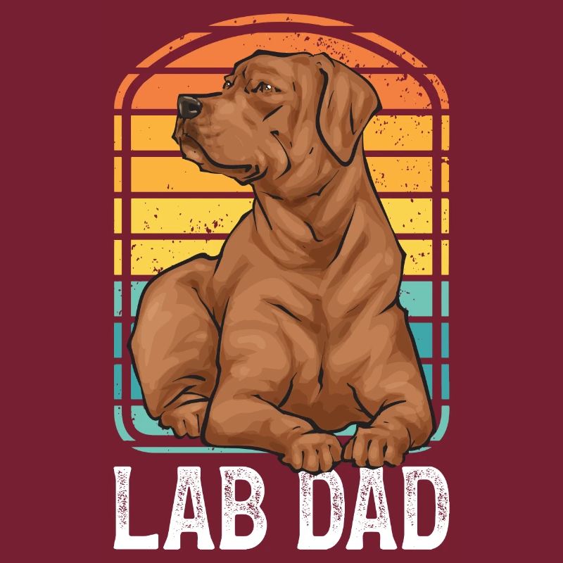 Fuchsroter Labrador Retriever Fox Red Labrador