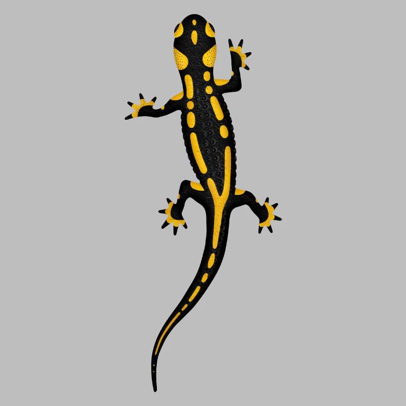 Feuersalamander