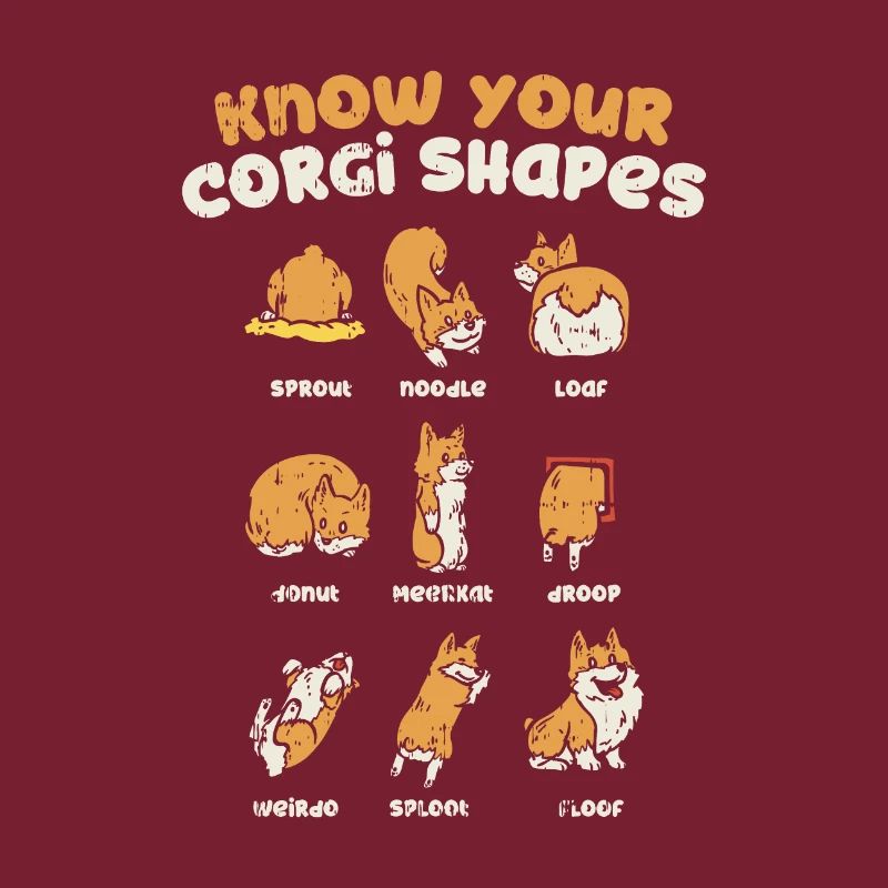Corgi