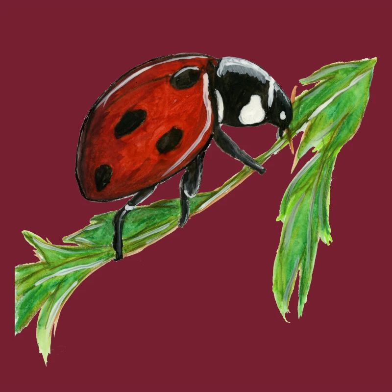 Marienkäfer