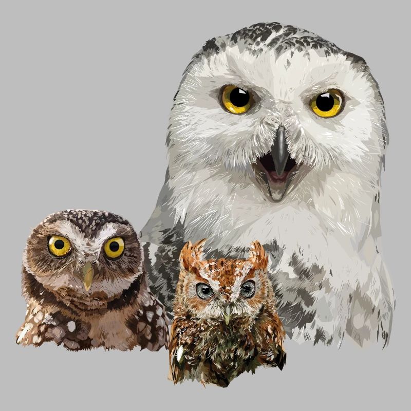 Eule, Eule und Eule