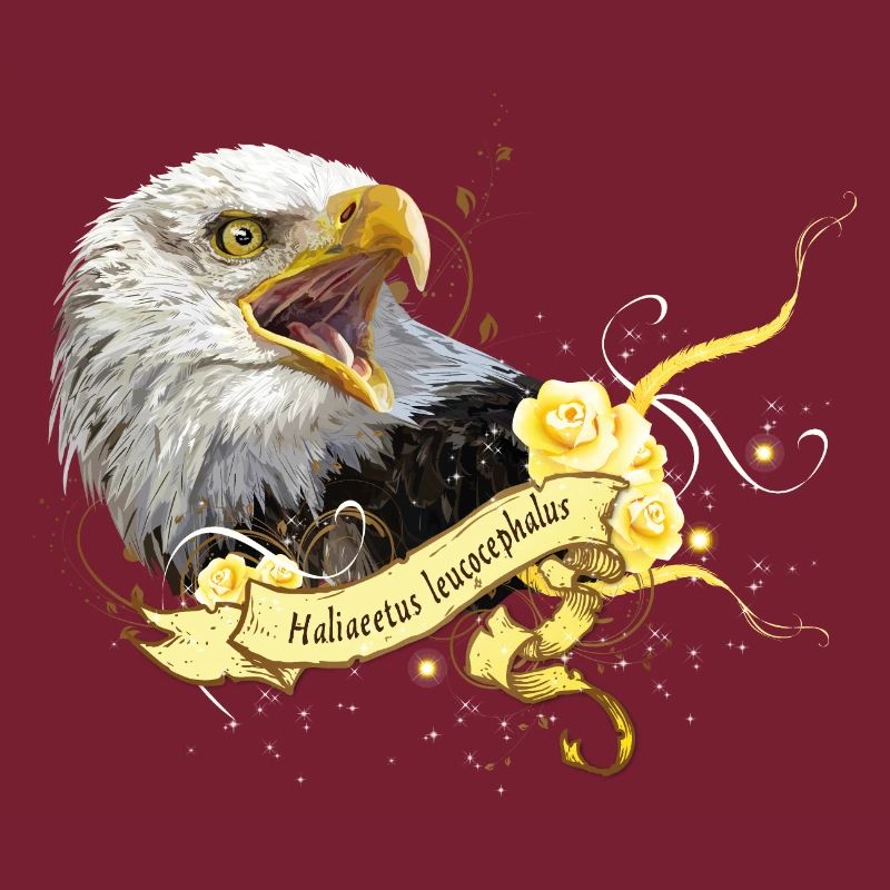 Bald eagle