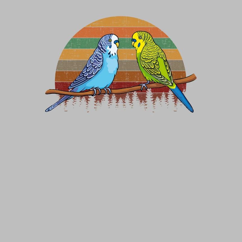 Budgie parakeet