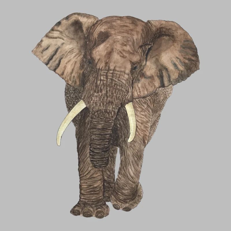 Éléphant
