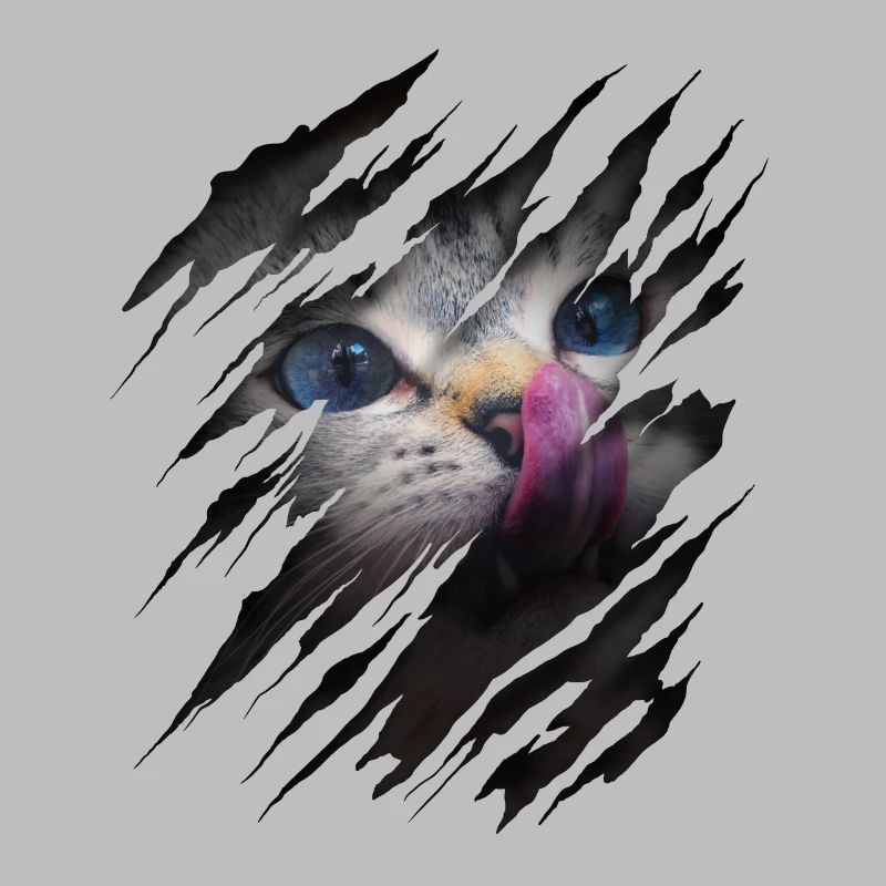 Chat avec égratignure - Visage de chat Chat à gratter Chat