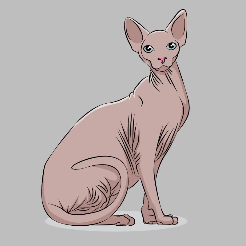 Sphynx Sphinx Katze Kätzchen Haustier Geschenk