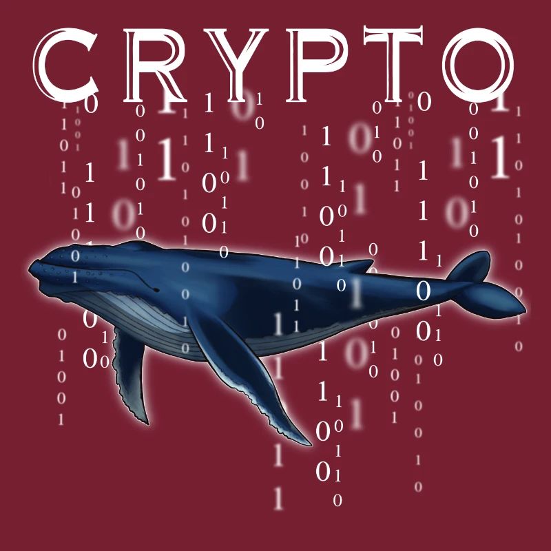 Crypto Wal Krypto Geschenk Idee