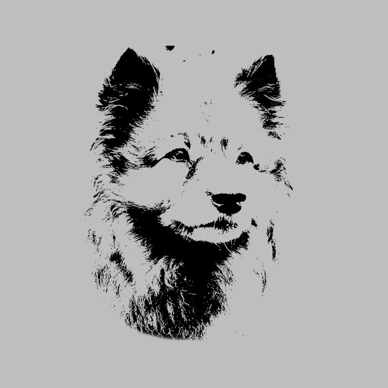 Wolfsspitz dog