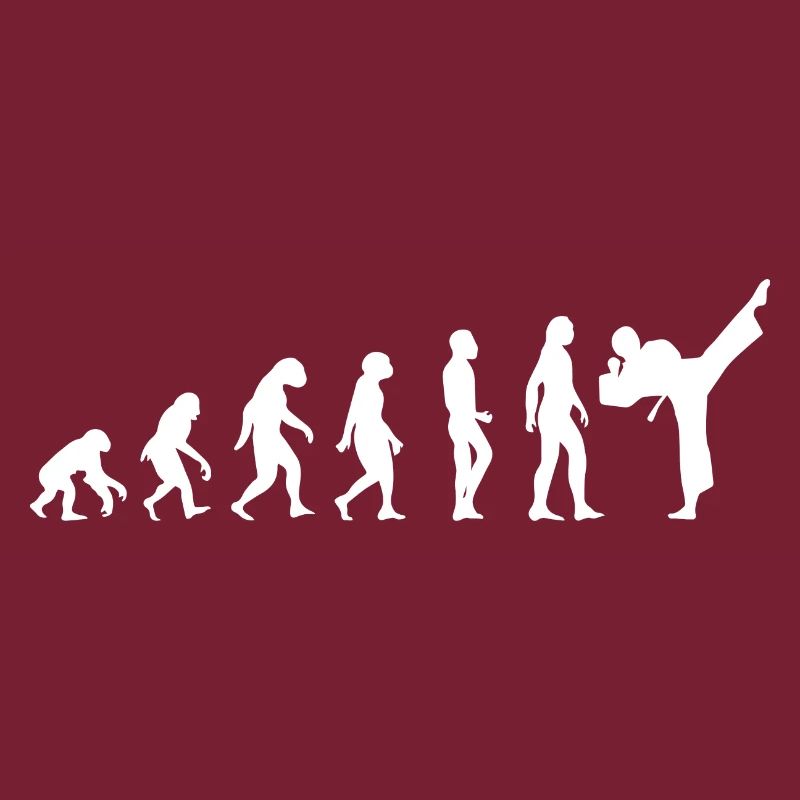 t-shirt evolution karate