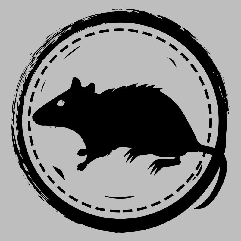 Rat - Rongeur
