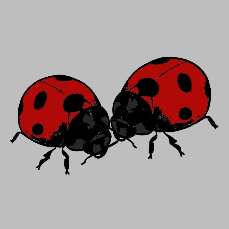 Coccinelle Ladybug Lady Bug