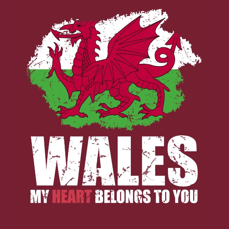 Drapeau du Pays de Galles