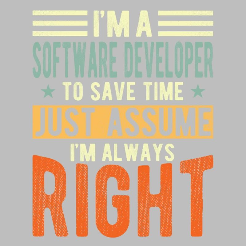 Software developer