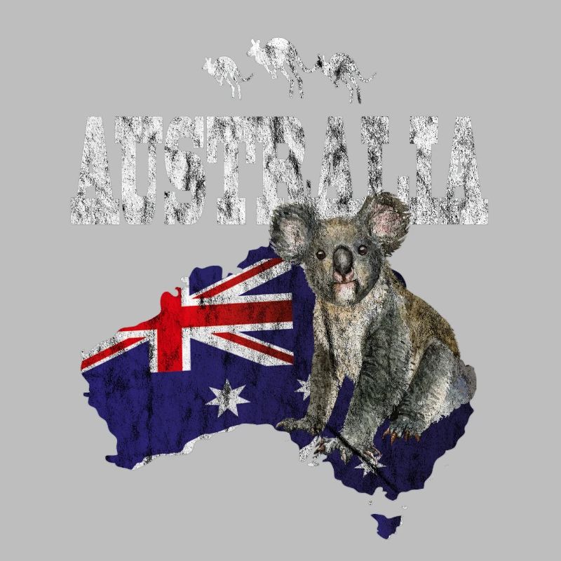 Australia koala bear