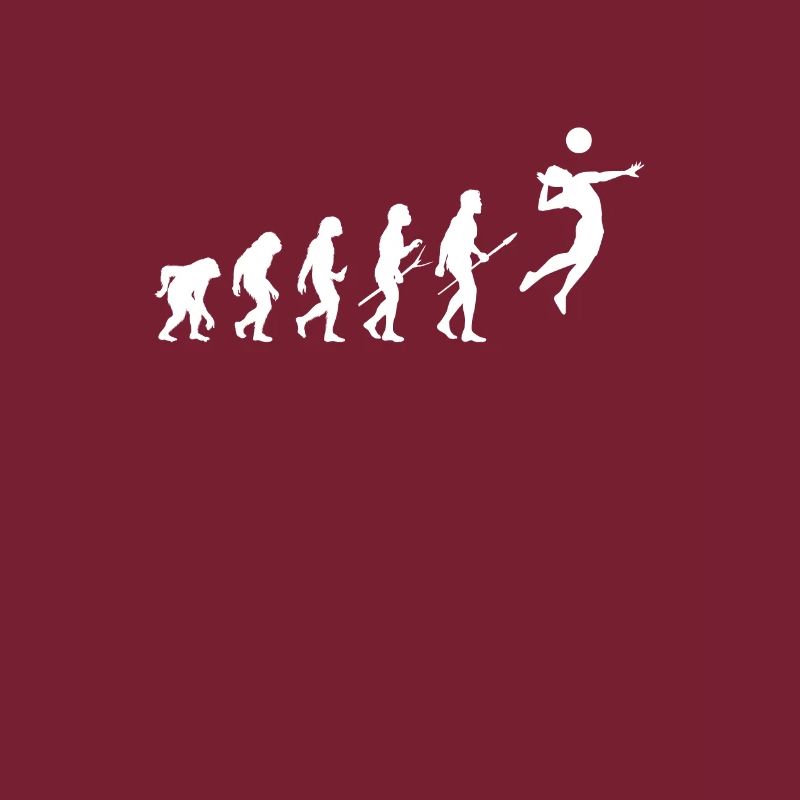 Evolution Volley-