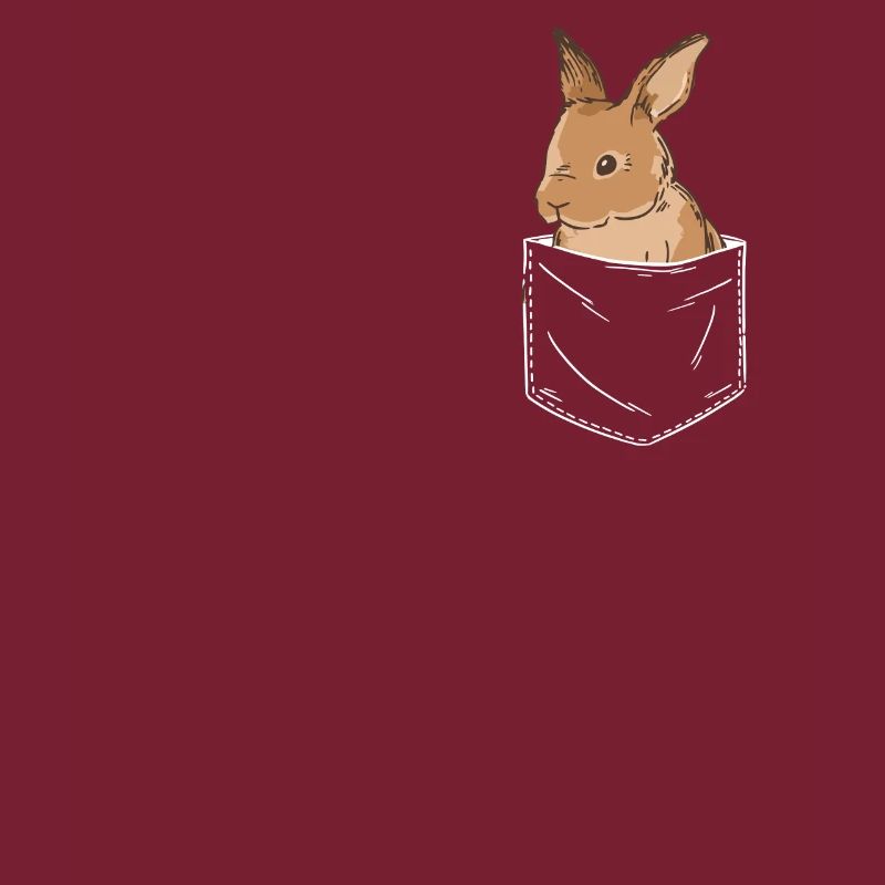 Rabbit Animal Pet Rabbit