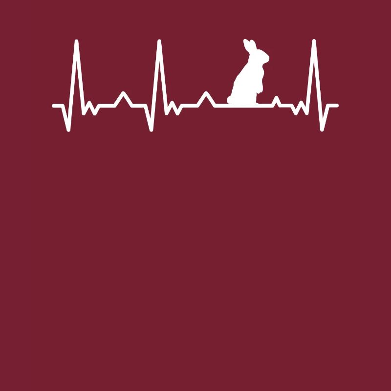 Rabbit Animal Pet Rabbit