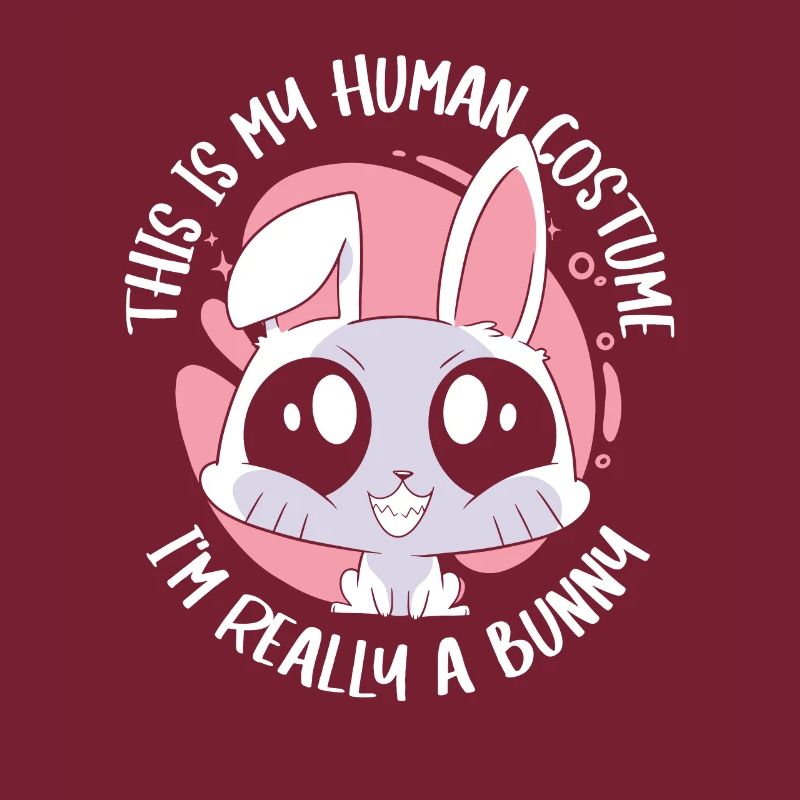 Rabbit Animal Pet Rabbit